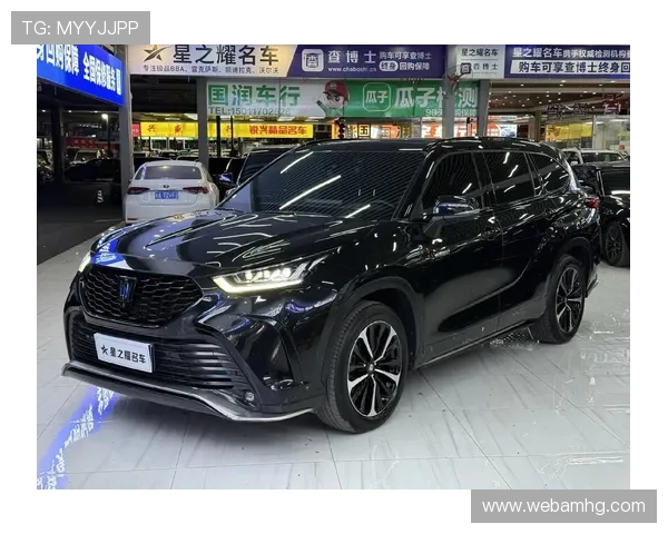 皇冠旗舰平台全面升级，提供一站式全新服务体验推动行业快速迈进